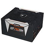 Aorus P750W 80PLUS Gold