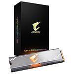 AORUS RGB M.2 NVMe SSD 256 Go