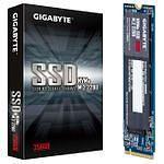 Gigabyte NVMe SSD 256 Go