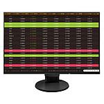 EIZO 24.1" LED - FlexScan EV2456