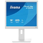 Iiyama ProLite B1980S-W1