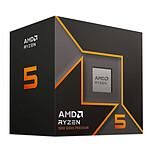 AMD Ryzen 5 9600