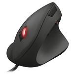 Trust Gaming GXT 144 Rexx
