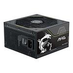MSI MAG A1000PLS PCIE5