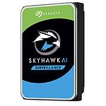 Seagate SkyHawk AI 12 To (ST12000VE001)
