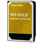 Western Digital WD Gold 16 To (WD161KRYZ)