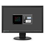 Eizo ColorEdge CS2400S-BK