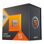 AMD Ryzen 5 7500X3D (4.0 GHz)