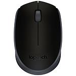 Logitech M171 Wireless Mouse (Noir)